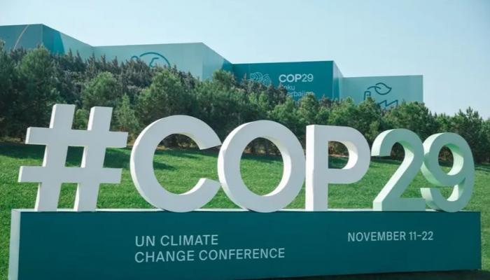 COP29.. شراكة بين المنظمة العالمية للاقتصاد الأخضر وبرنامج الأمم المتحدة الإنمائي