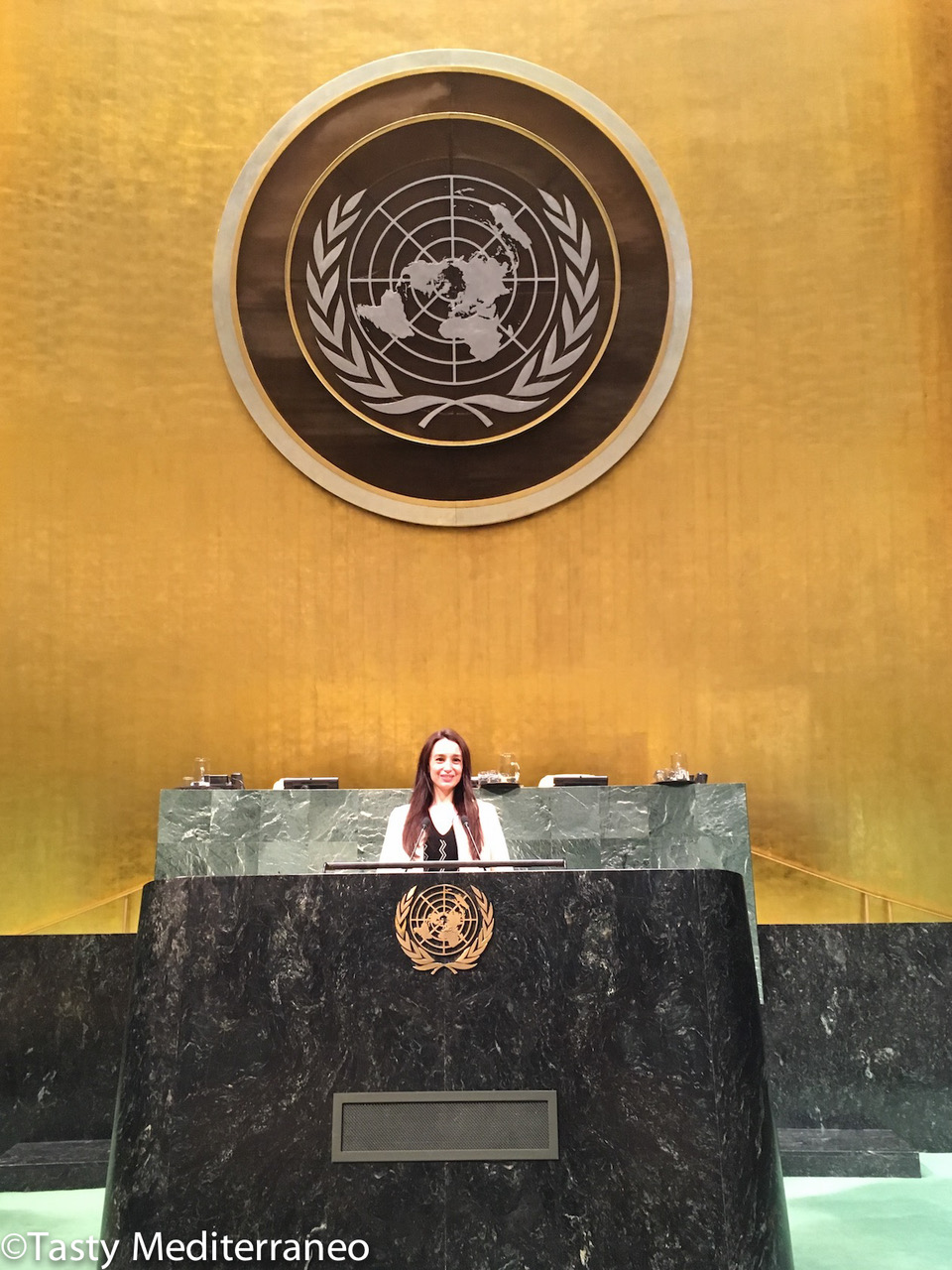 Tasty Mediterraneo في الأمم المتحدة – Tasty Mediterraneo