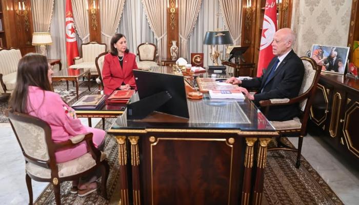 «لعبة الخارج».. سعيد يكشف أدوار الإخوان وأدوات افتعال الأزمات