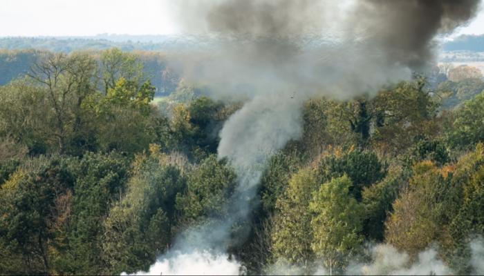 30 طنا من السكر المطحون لجيش أمريكا.. ما السر؟