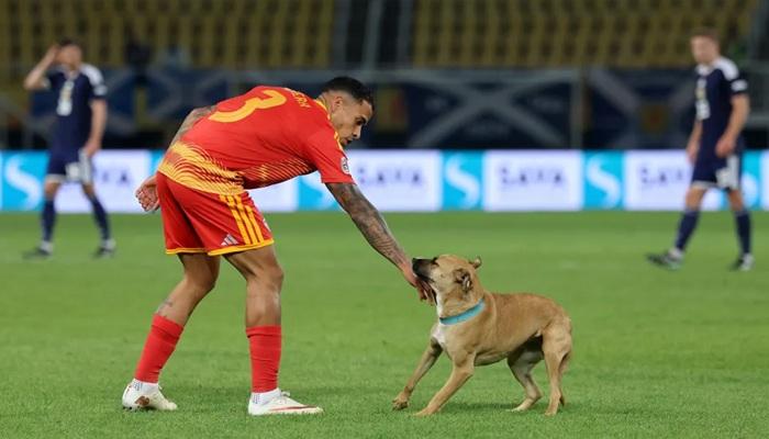 كلب يقتحم ملعب مباراة في دوري الأمم الأوروبية (فيديو)