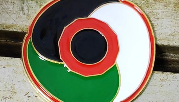 طبيب أطفال بريطاني وراء «زهرة خشخاش فلسطين».. دبابيس تثير الجدل